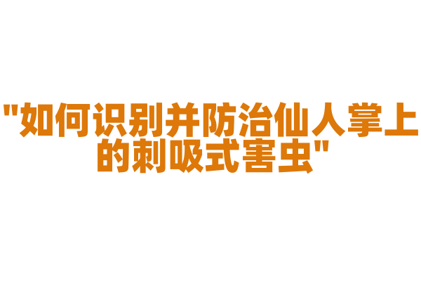 "如何识别并防治仙人掌上的刺吸式害虫"
